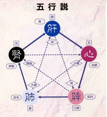 五行説を象徴する自然の要素